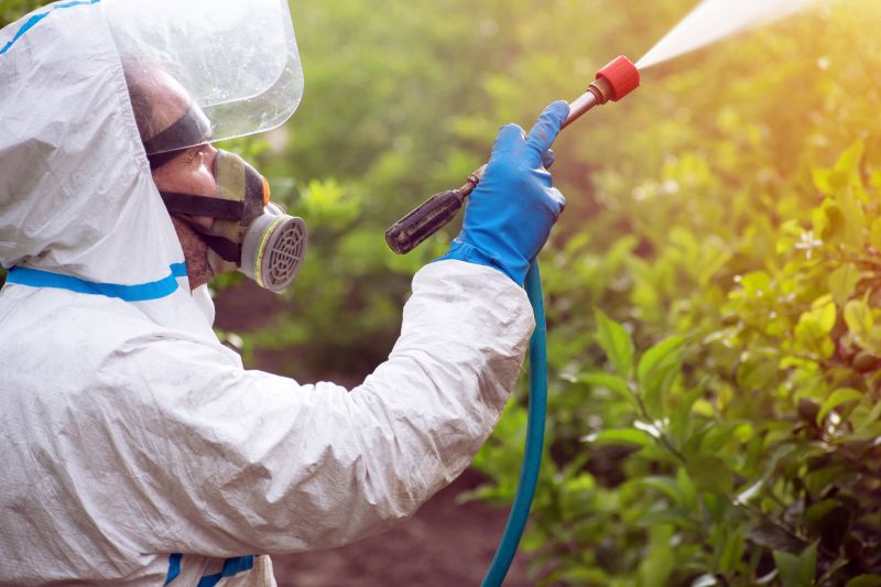Weed Control Service in Rockwall, TX