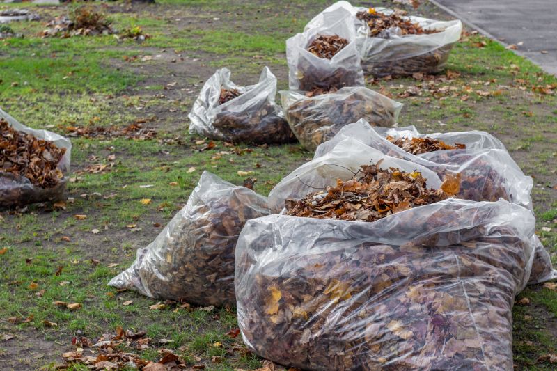 Bagging Fall Debris