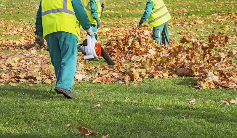 Removing Leaves Efficiently
