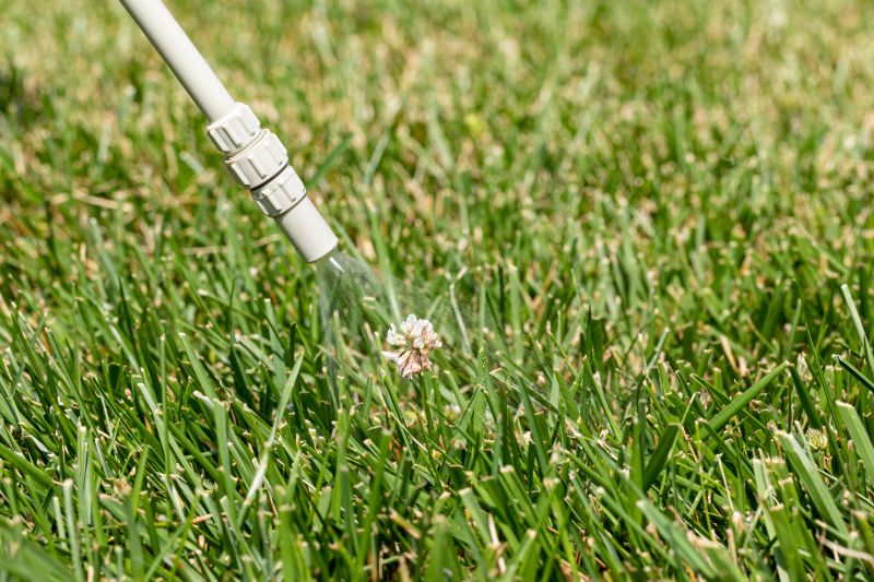 Lawn Herbicide Treatment in Honolulu, HI