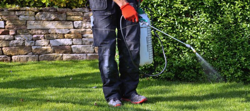 Lawn Weed Control in Aiken, SC