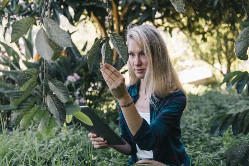 Pre-removal site assessment