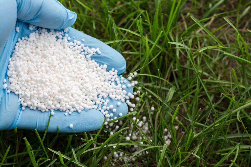 Yard Fertilization in Ventura County, CA